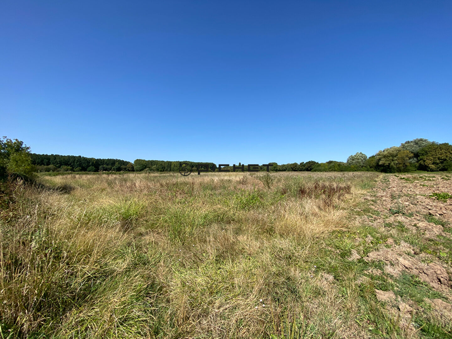 Terrain Genissac 9656 m2