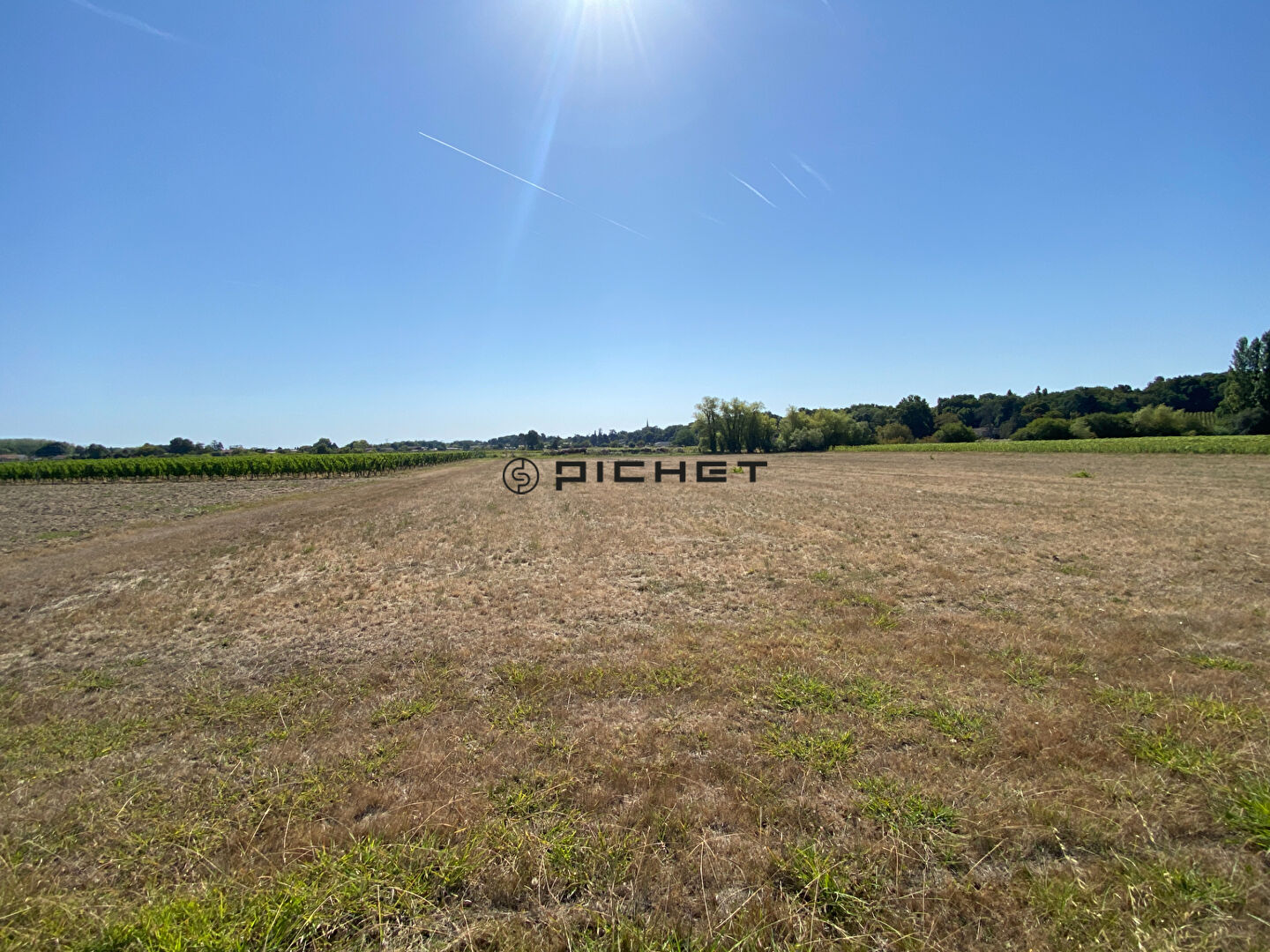 Terrain Genissac 6385 m2