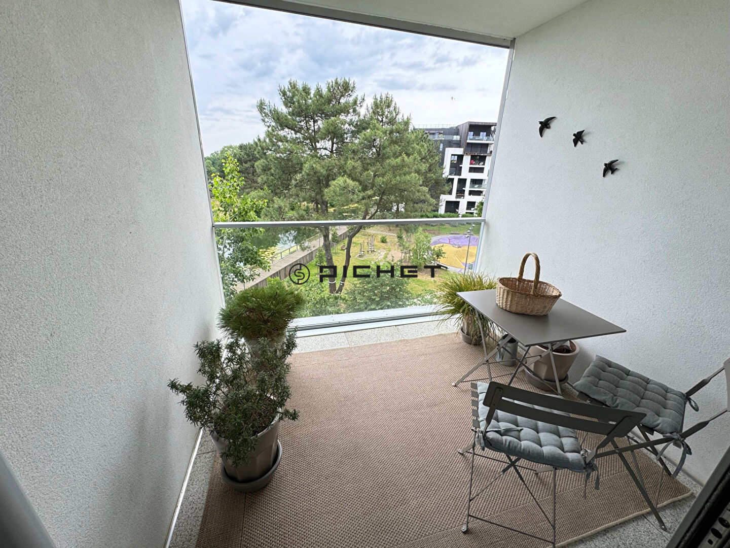 Photo BORDEAUX  GINKO image 2/6