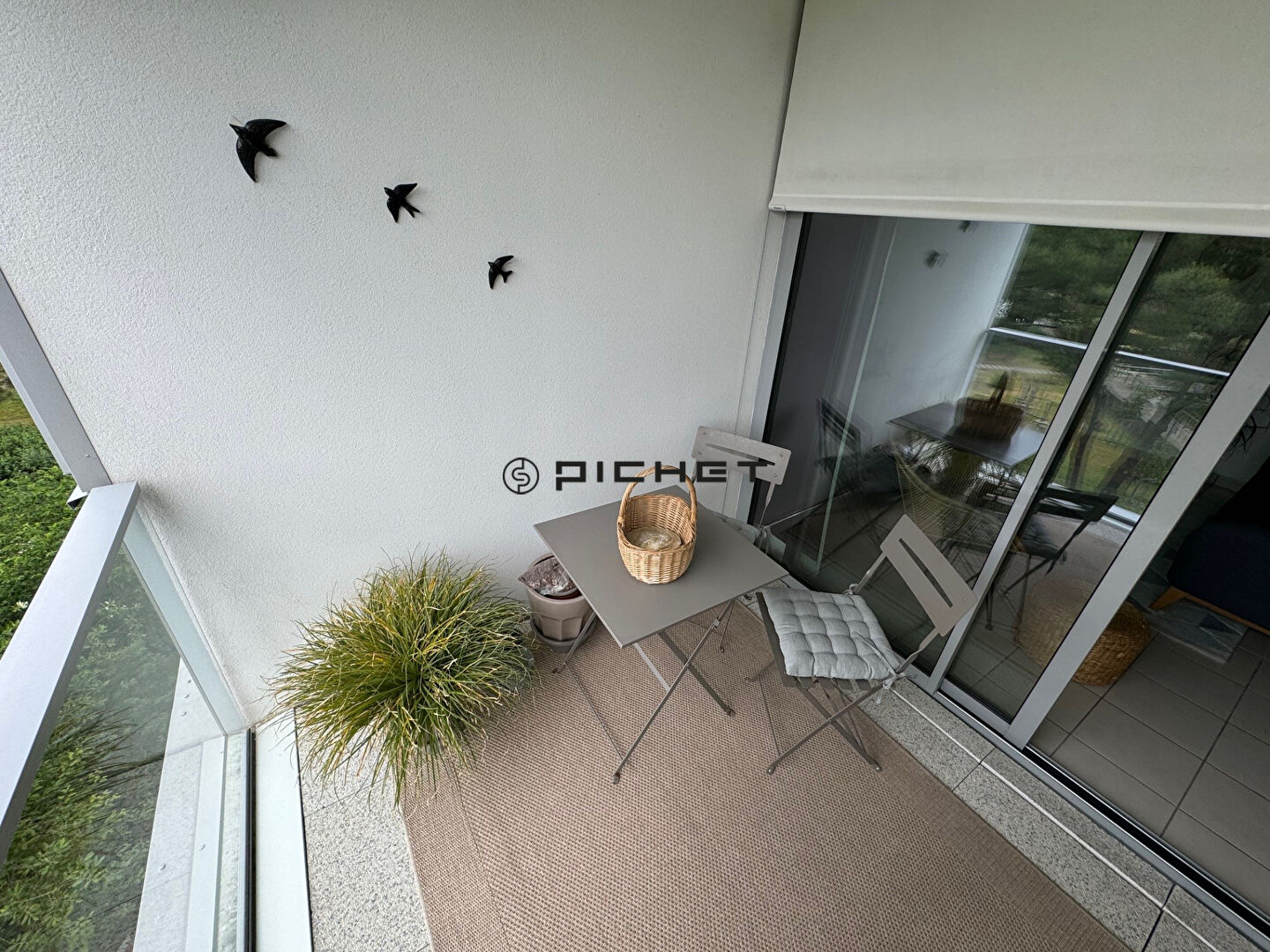 Photo BORDEAUX  GINKO image 4/6