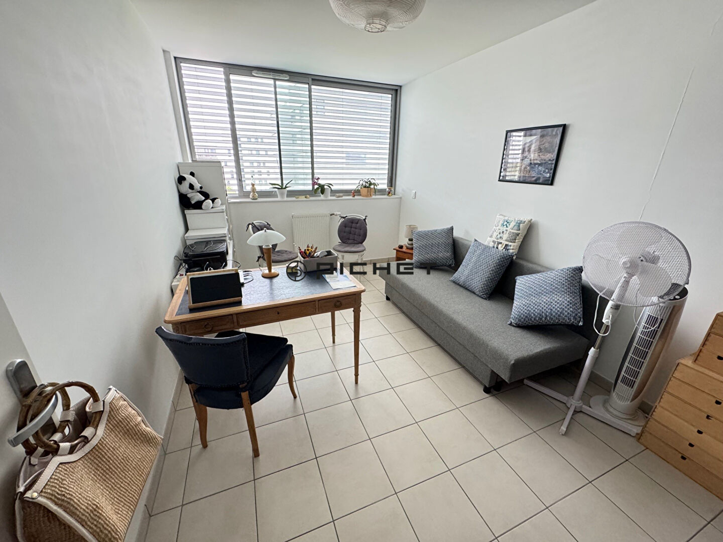 Photo BORDEAUX  GINKO image 5/6