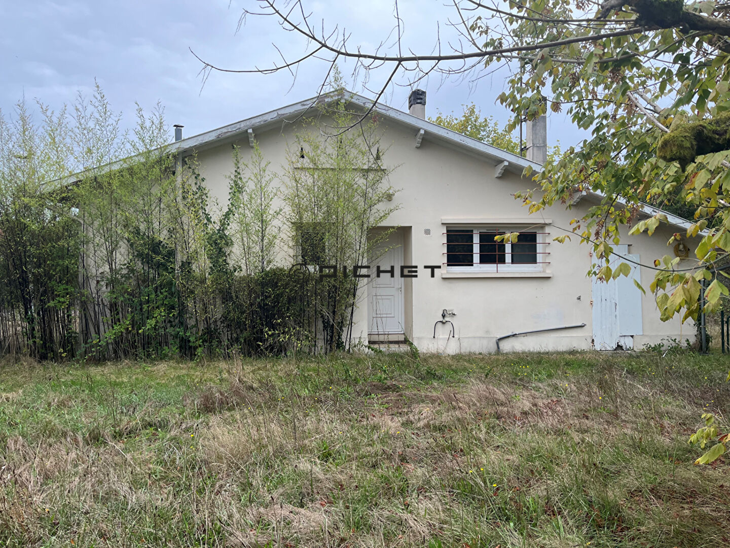 Photo Maison Biscarrosse 3 pièce(s) 55 m2 sur Jardin de 676 m2 image 1/6