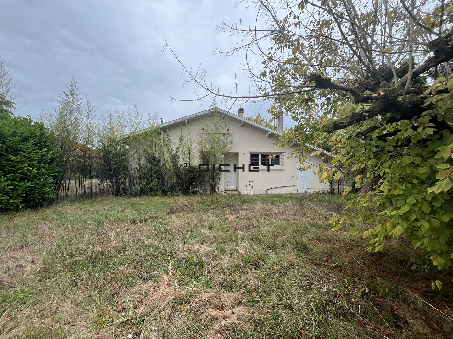 Photo Maison Biscarrosse 3 pièce(s) 55 m2 sur Jardin de 676 m2 image 2/6