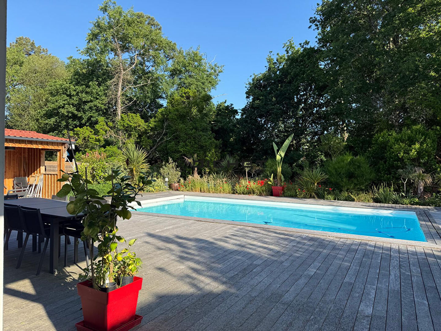 Agence immobilière de Pichet Immobilier Services - Pichet Immobilier Arcachon