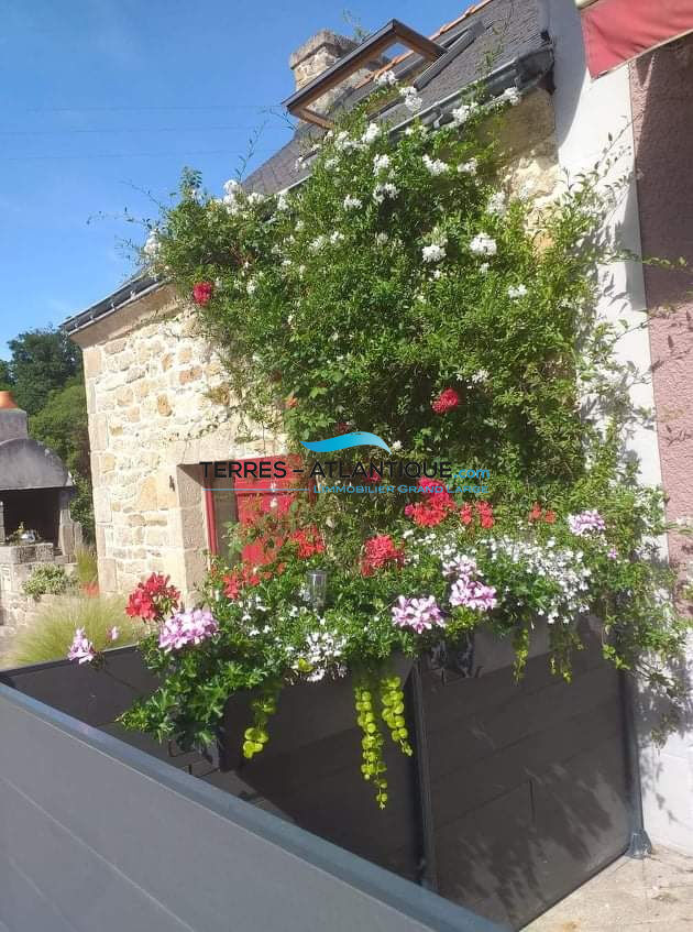 Photo Murs et Fonds : bar, restaurant, crêperie. image 3/6