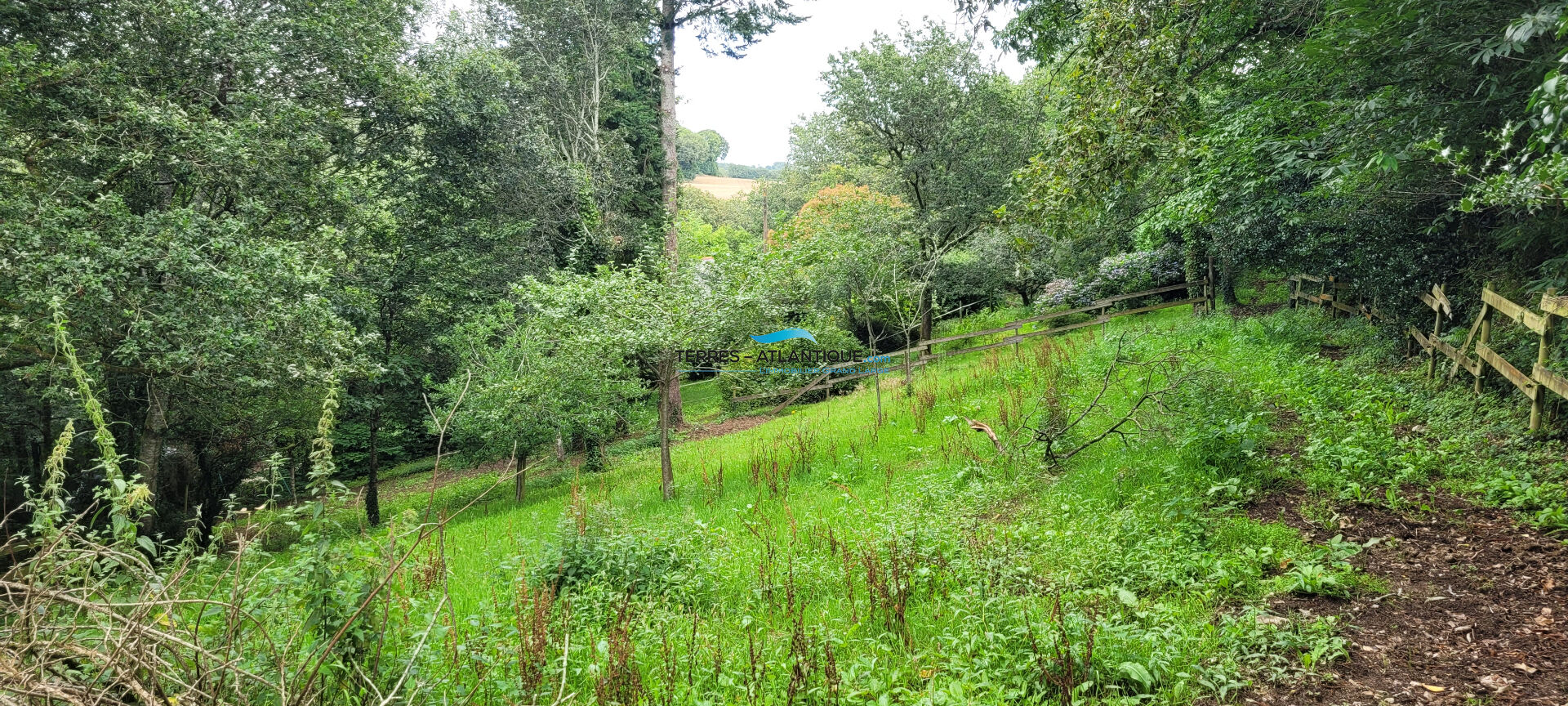 Photo Charmante propriété en pierres au coeur d'une nature préservée image 6/6