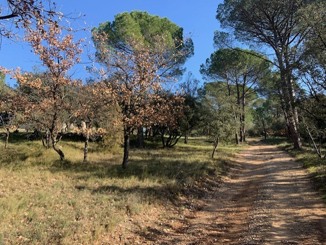 Photo GRANDE BASTIDE  D'ENVIRON 220M² image 5/6