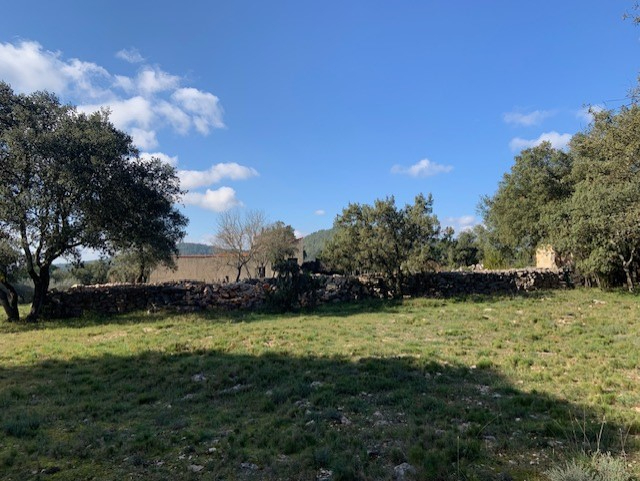 Photo GRANDE BASTIDE  D'ENVIRON 220M² image 6/6