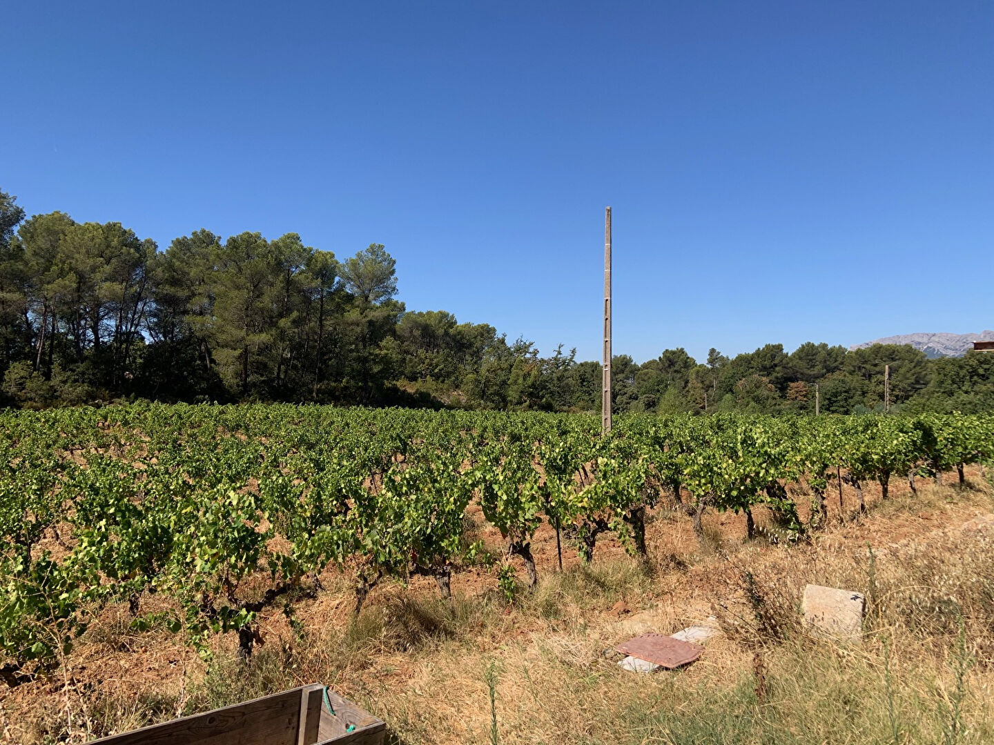 Superbe Terrain à Pourrières  au coeur des vignes!