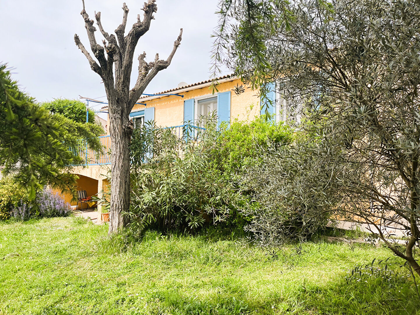 Photo RARE A LA VENTE - EXCLUSIVITE image 1/6