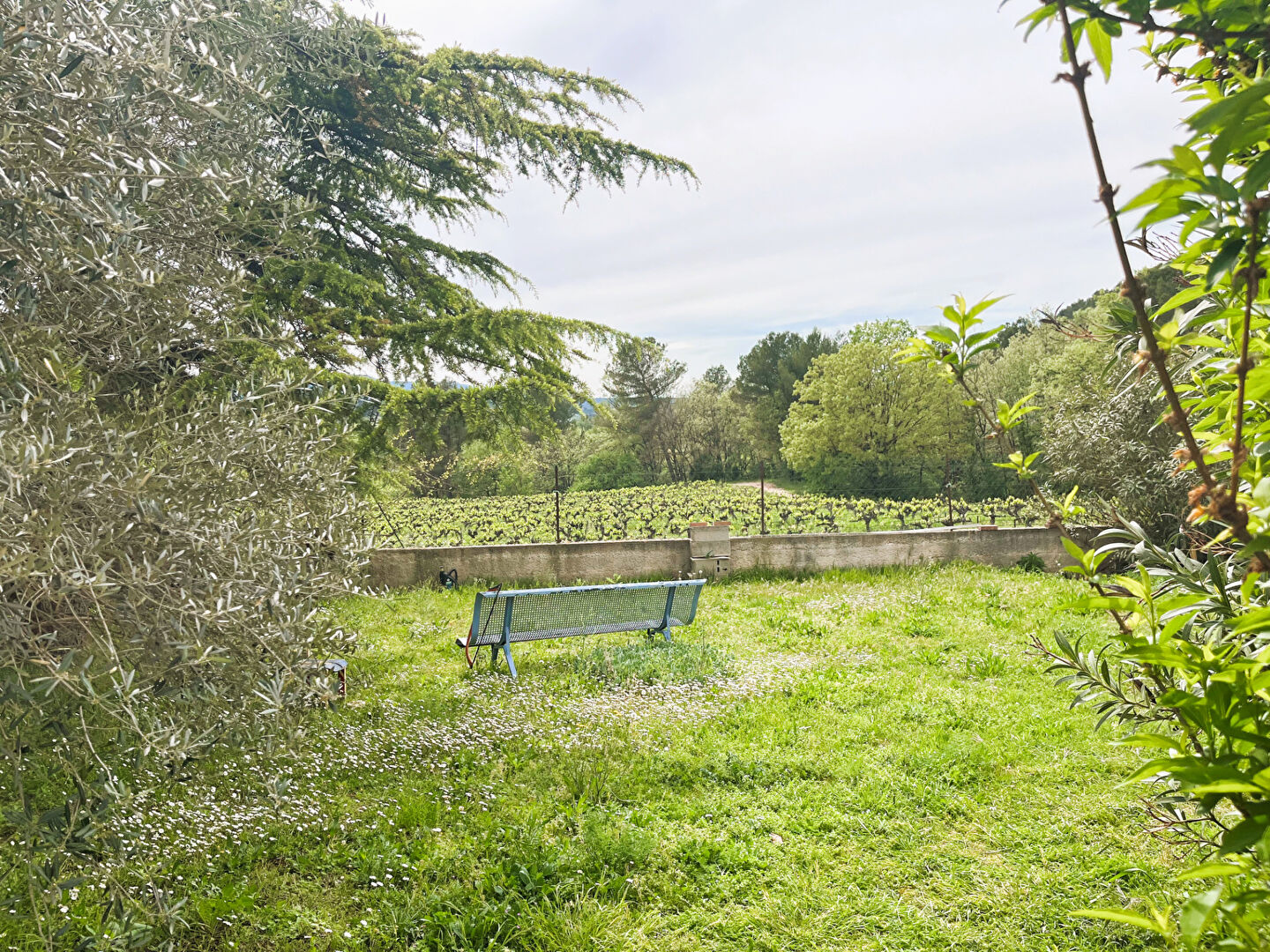 Photo RARE A LA VENTE - EXCLUSIVITE image 2/6