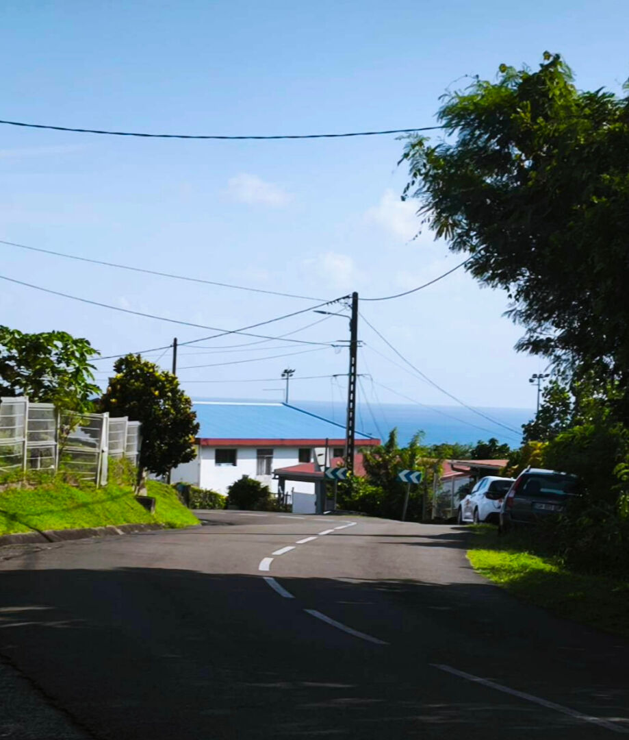 Terrain Sainte Luce 1028M2