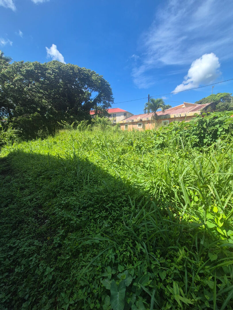 Agence immobilière de Accent Immo Fort-de-France