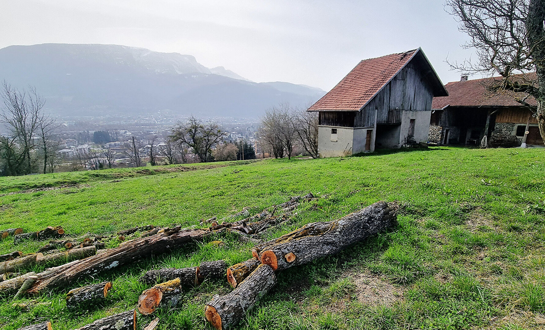 Agence immobilière de @CTIF IMMOBILIER Cluses