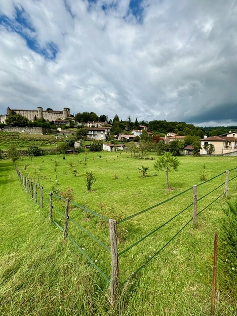 Photo TERRAIN VIABILISE SAINT-LIZIER image 4/6