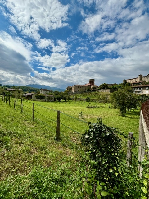 Photo TERRAIN VIABILISE SAINT-LIZIER image 6/6