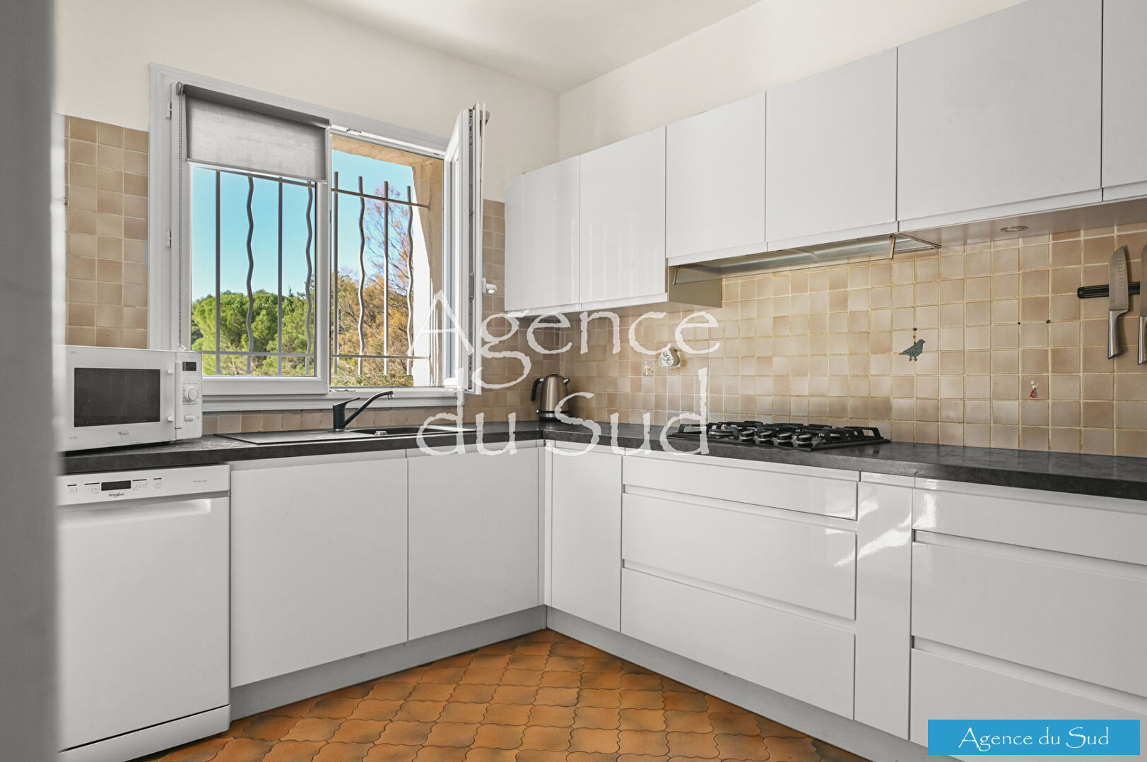 Photo VILLA T5 AVEC DEPENDANCE ET GARAGE image 5/6