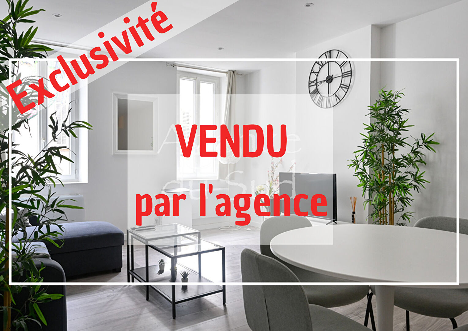 Agence immobilière de AGENCE DU SUD La Ciotat