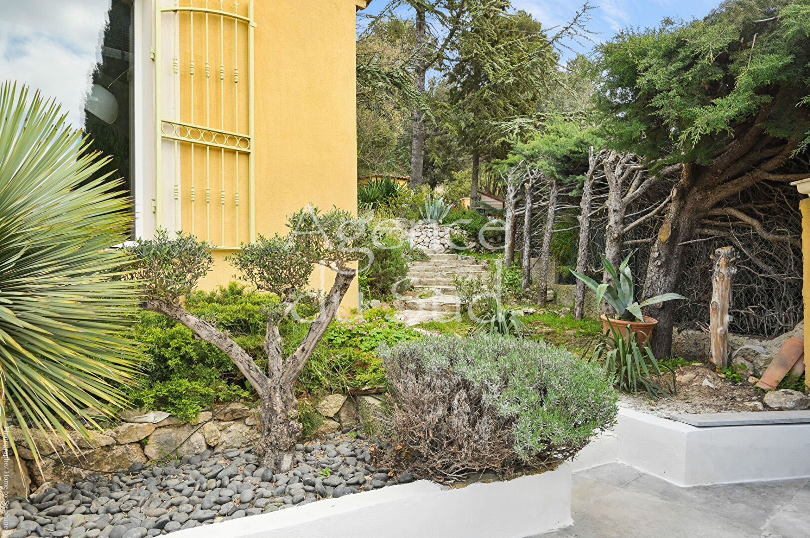 Photo Bastide Provençale contemporaine au caractère authentique image 4/6