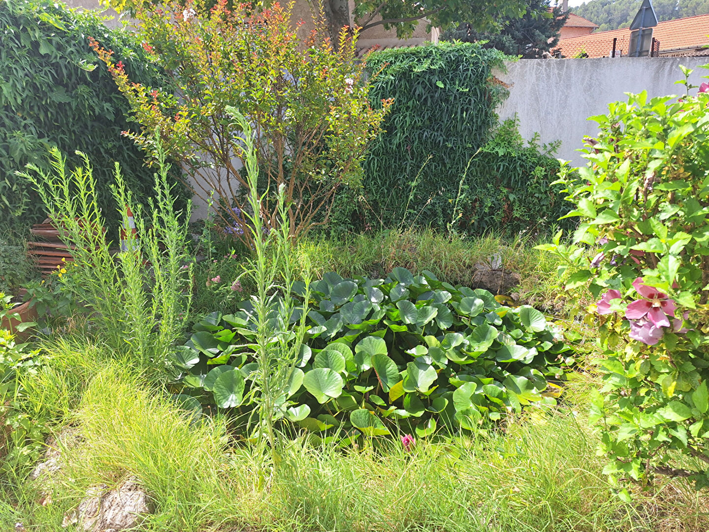 Photo Maison  familiale BIVER image 4/6