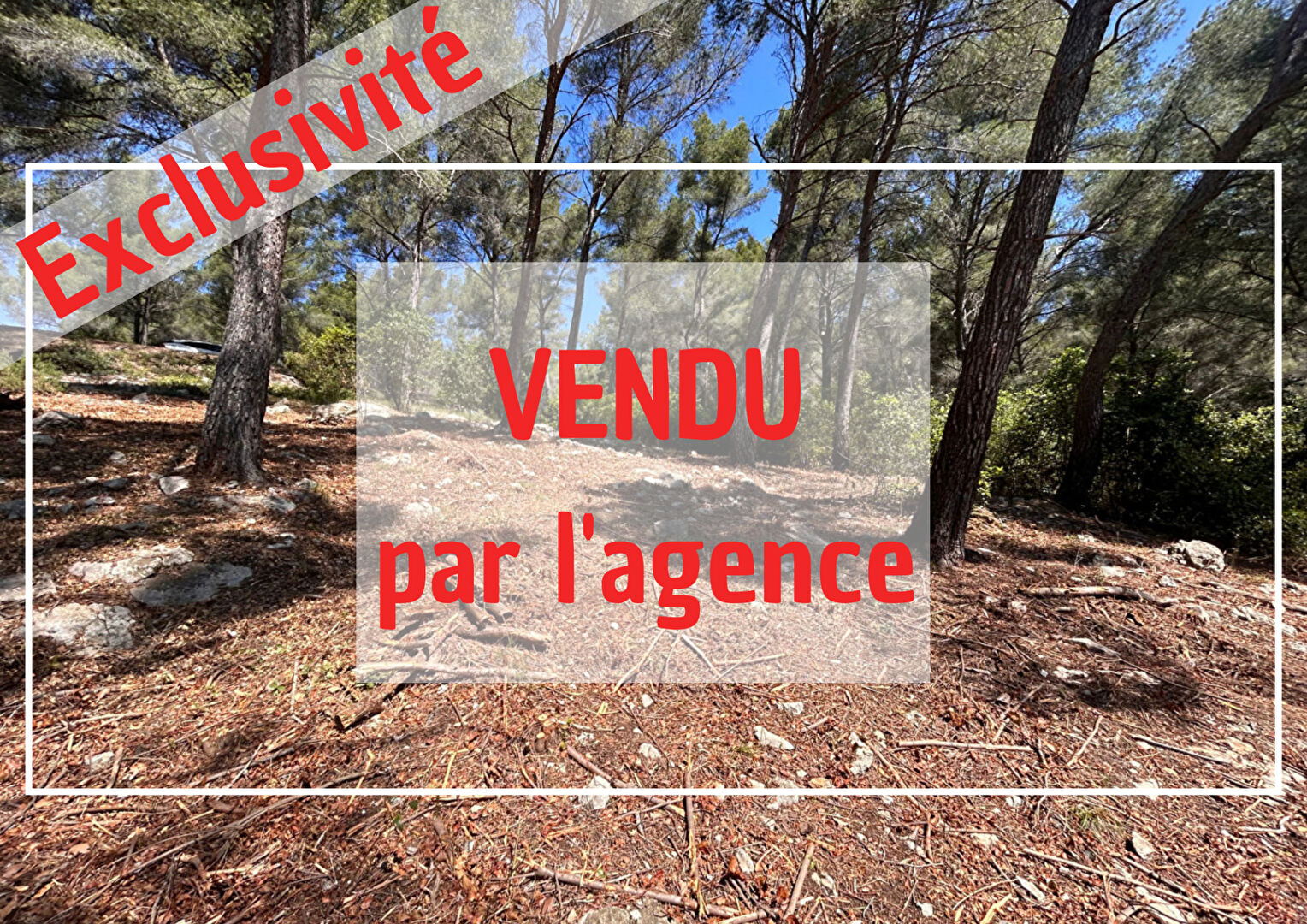 Agence immobilière de AGENCE DU SUD La Ciotat