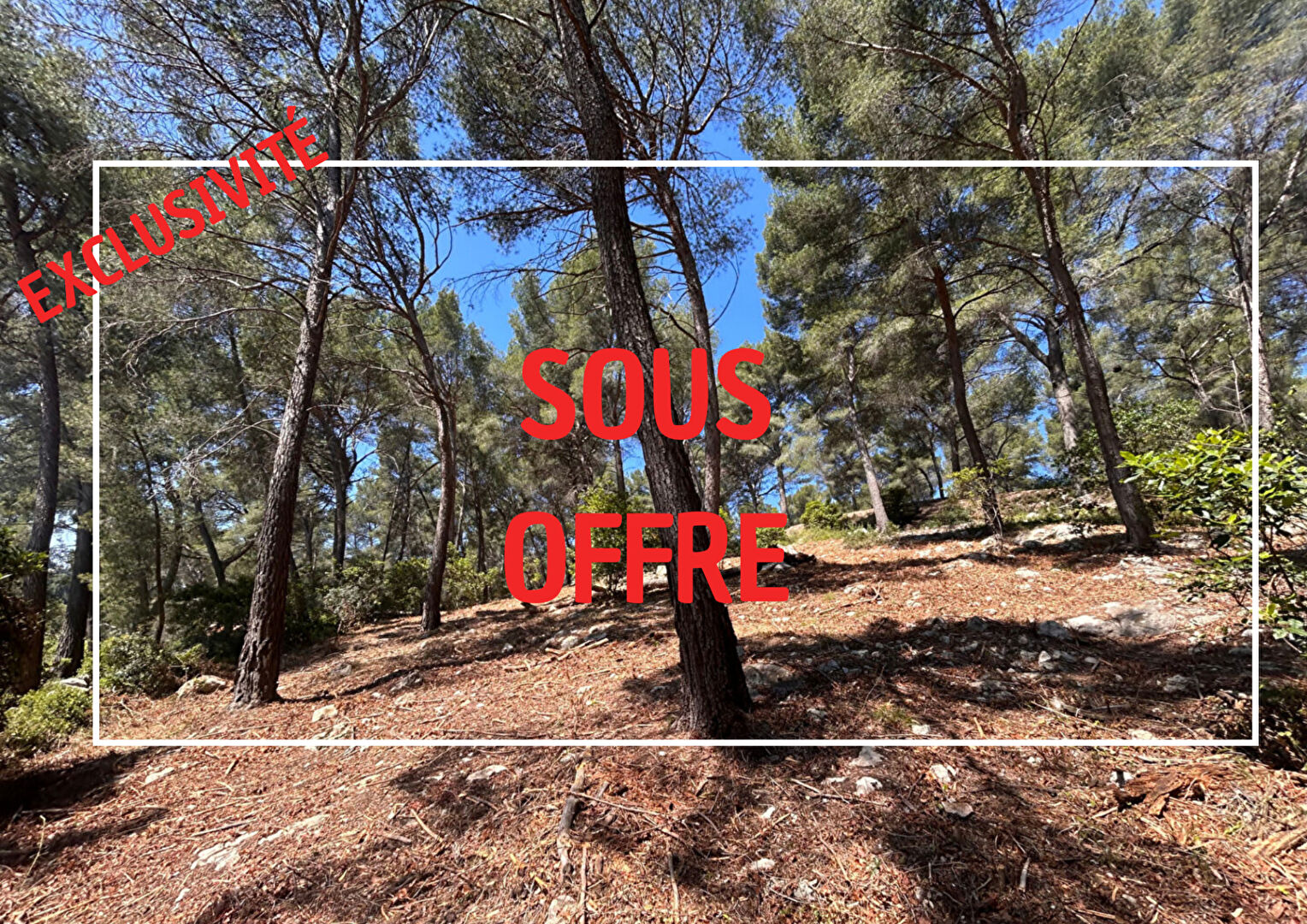 SOUS OFFRE - Terrain Cassis 1638 m2