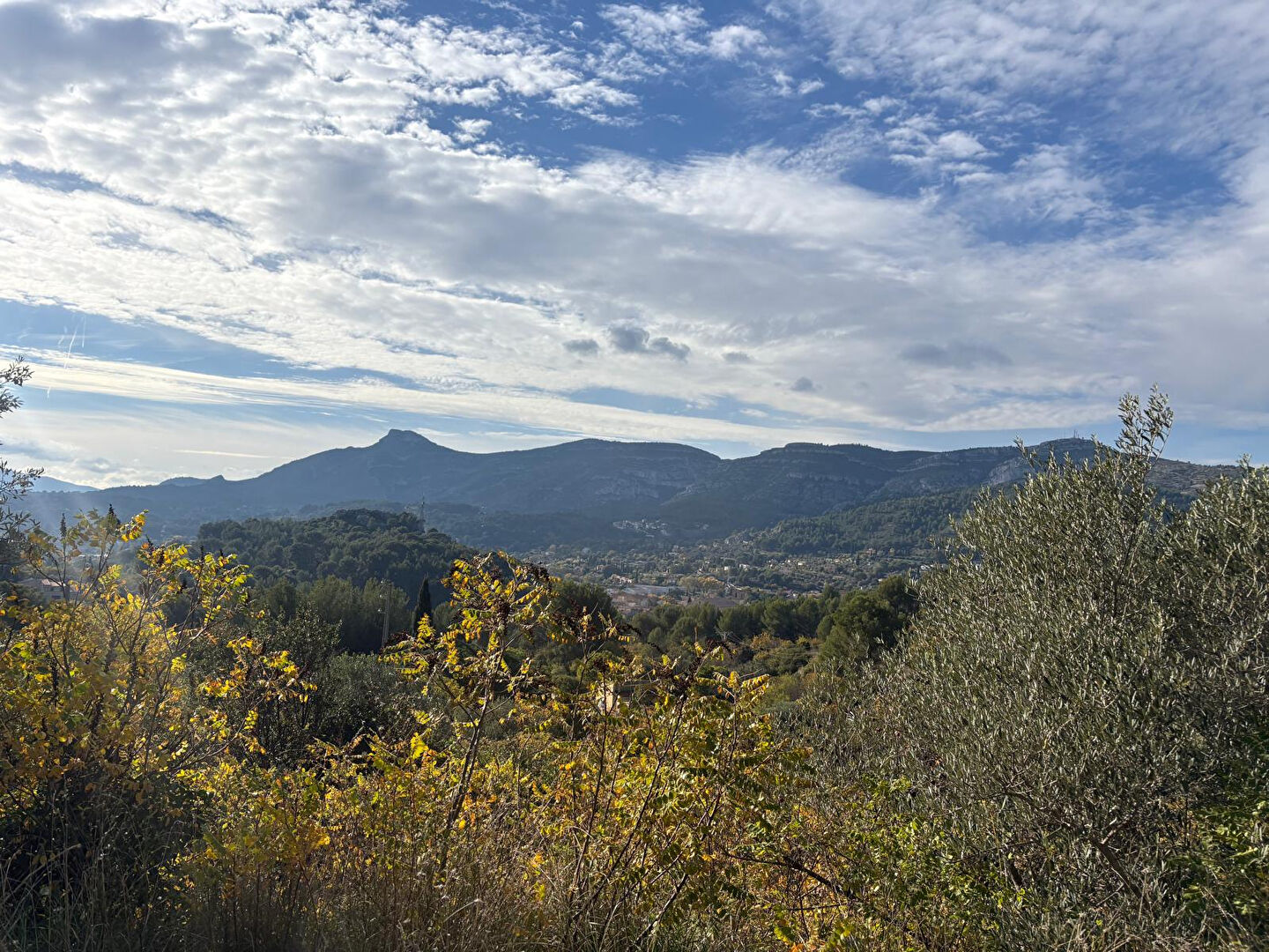 Agence immobilière de AGENCE DU SUD IMMOBILIER - AGENCE DU SUD ROQUEVAIRE