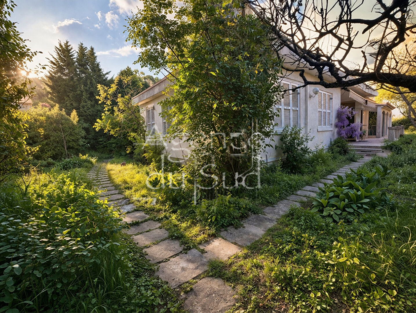 Agence immobilière de AGENCE DU SUD La Ciotat