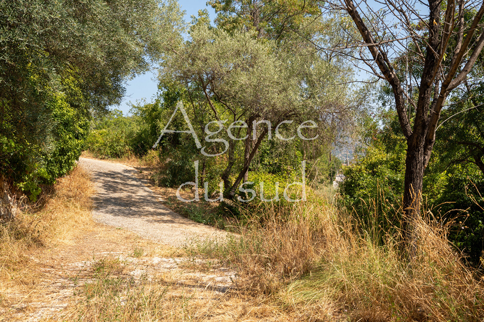 Agence immobilière de AGENCE DU SUD IMMOBILIER - AGENCE DU SUD ROQUEVAIRE