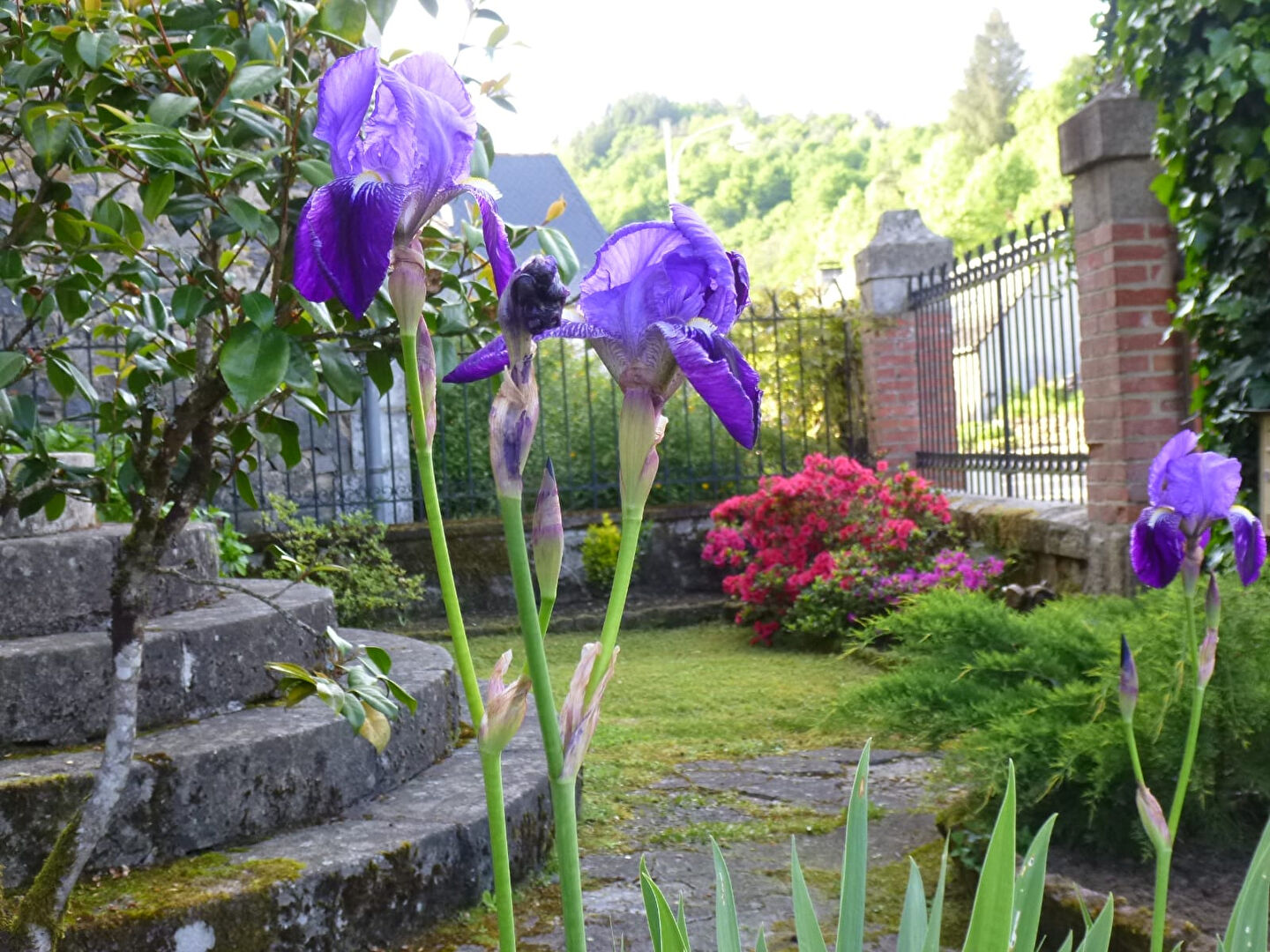 Photo CORREZE. ST CHAMANT. Magnifique grande maison en pierre avec 5 chambres, dépendance et jardin de 3112m2. image 4/6