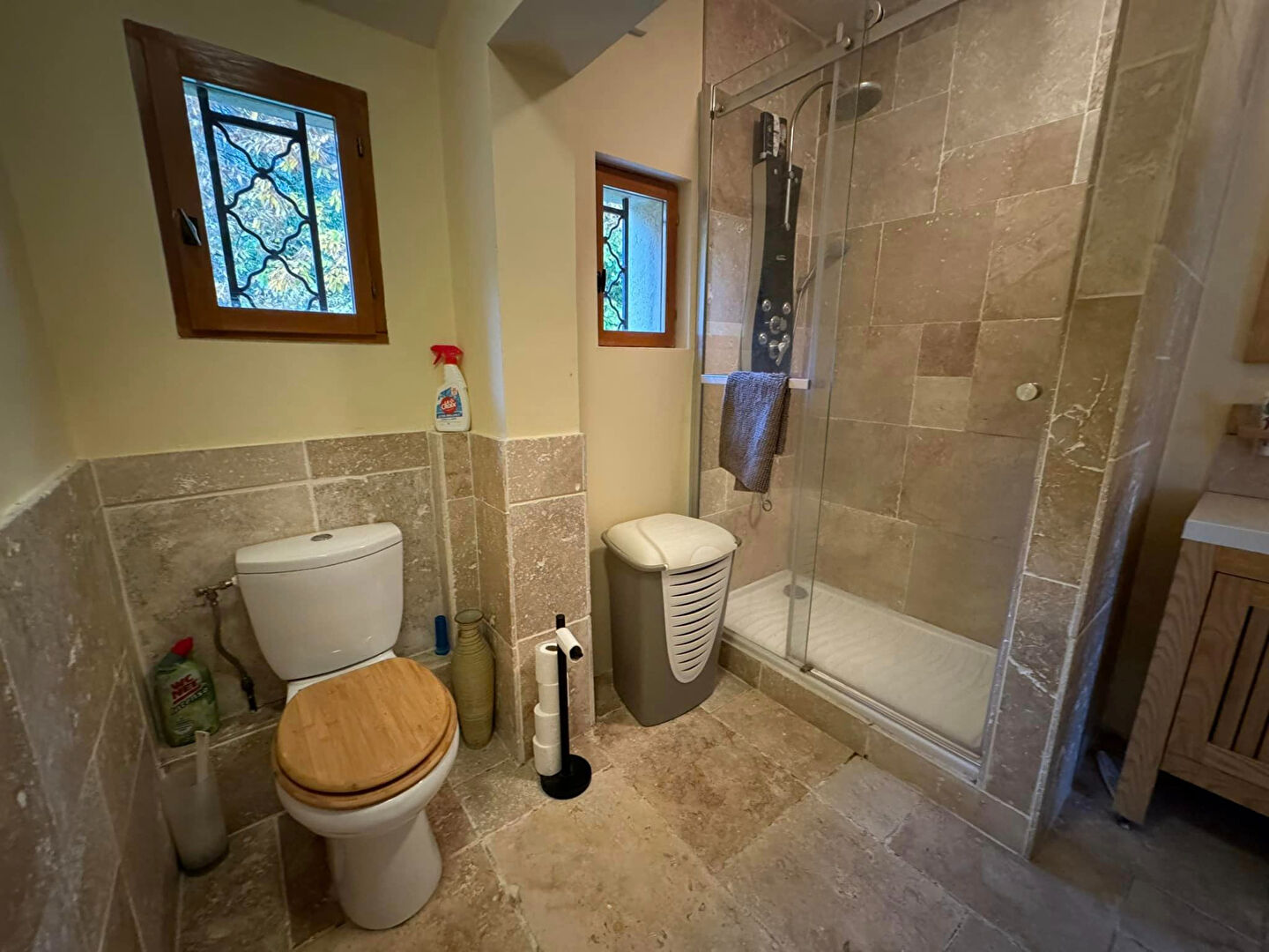 Modern bathroom featuring shower, toilet, and natural light, located in Haute-Vienne, Nouvelle-Aquitaine property.