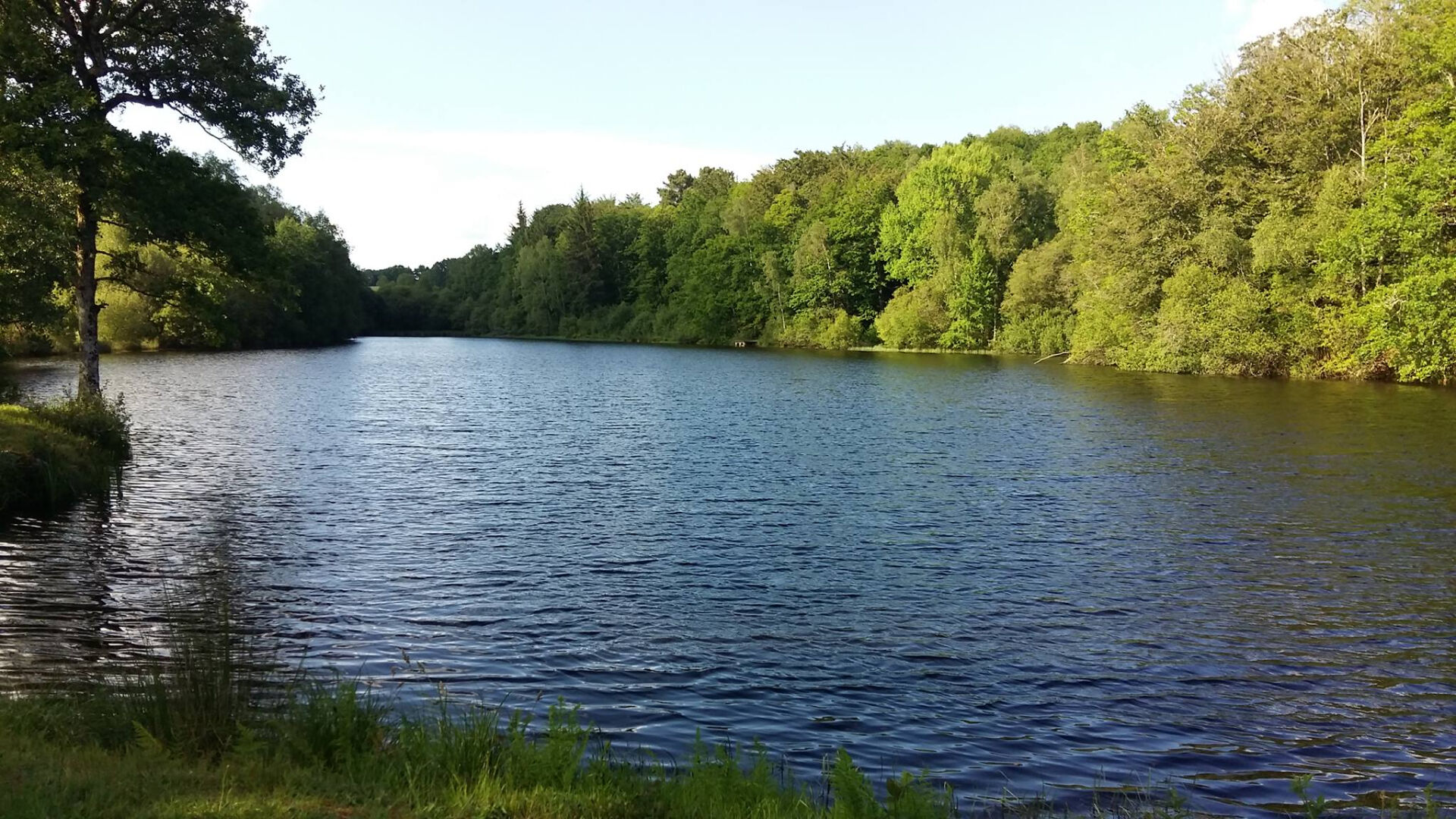 Serene view of a lake surrounded by lush greenery in Haute-Vienne, Nouvelle-Aquitaine. Ideal for nature lovers.