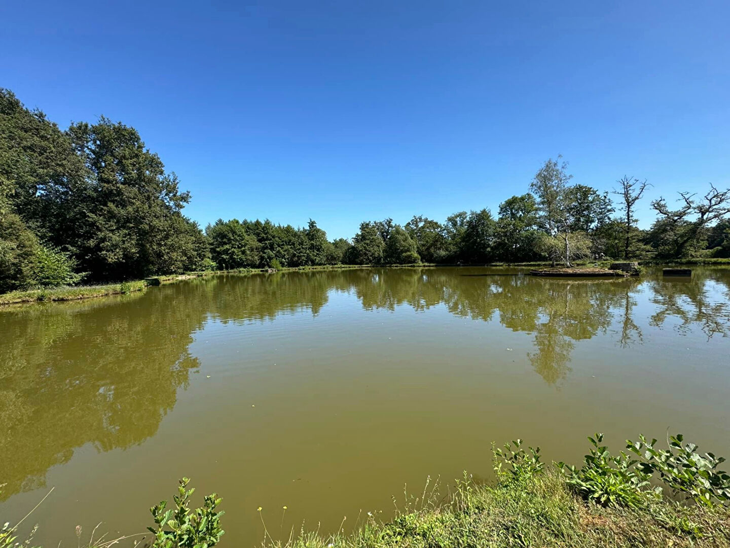 Photo HAUTE VIENNE - Proche CHATEAUPONSAC - Superbe Propriété Au Bord D'un Lac Et D'une Rivière, Sans Voisins, Avec 2 Gîtes. image 2/6