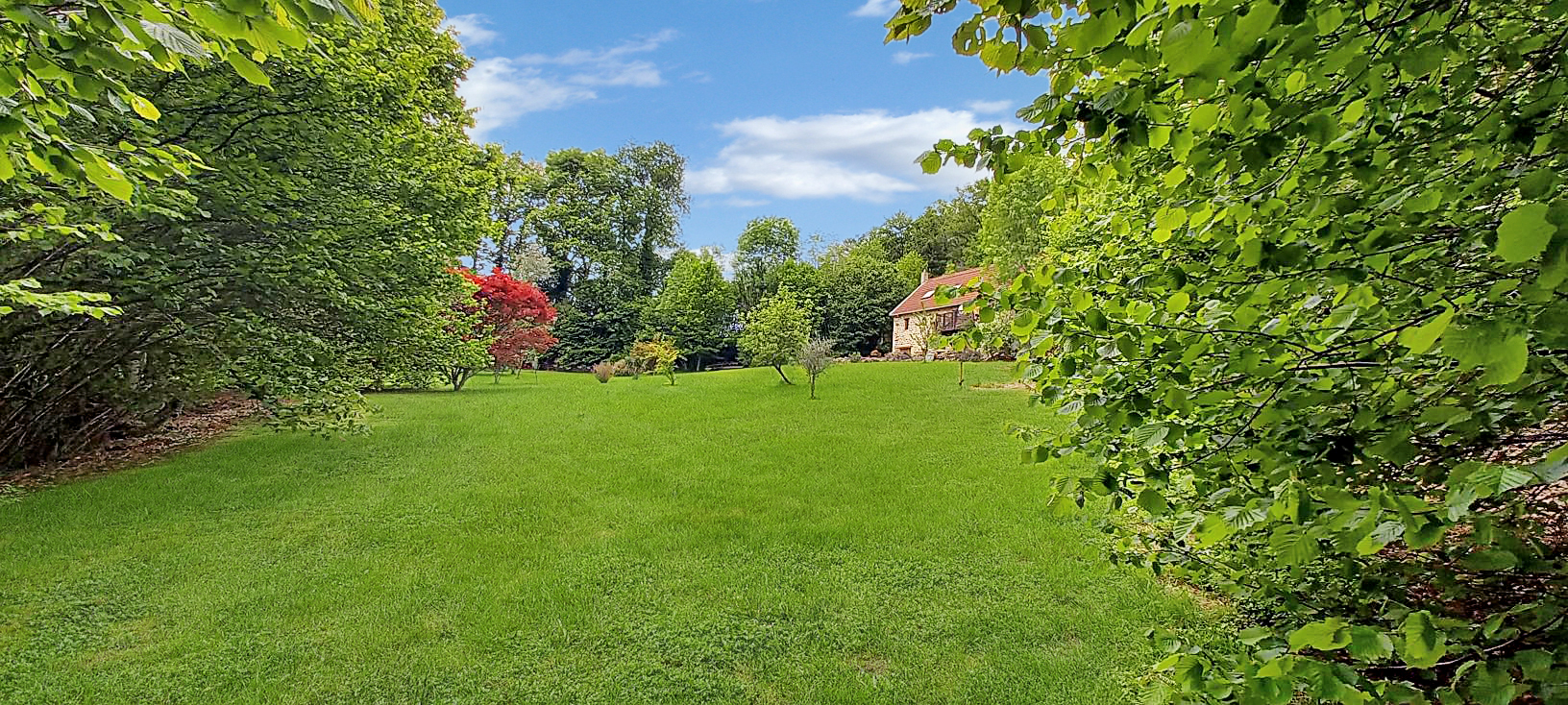 Spacious property with a large garden in Haute-Vienne, Nouvelle-Aquitaine, featuring mature trees and lush greenery.