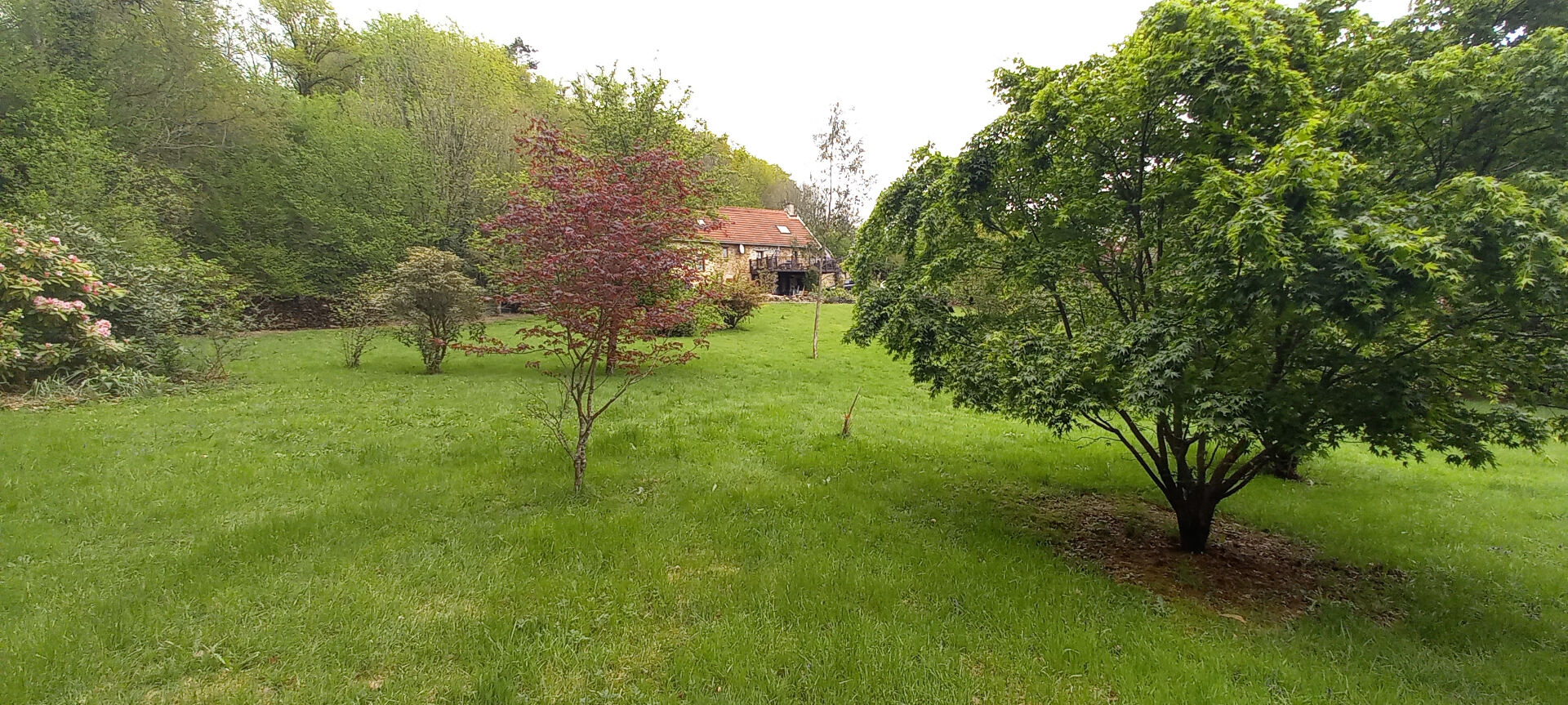Photo HAUTE VIENNE. Près d'EYMOUTIERS. Maison en pierre avec 3 chambres, vue imprenable sur la campagne avec jardins et foret de 12 127m2. image 3/6