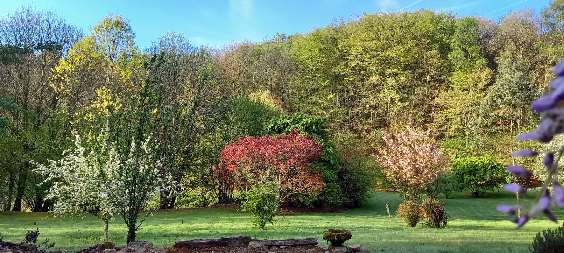 Spacious property with landscaped garden in Haute-Vienne, Nouvelle-Aquitaine, featuring diverse trees and greenery.