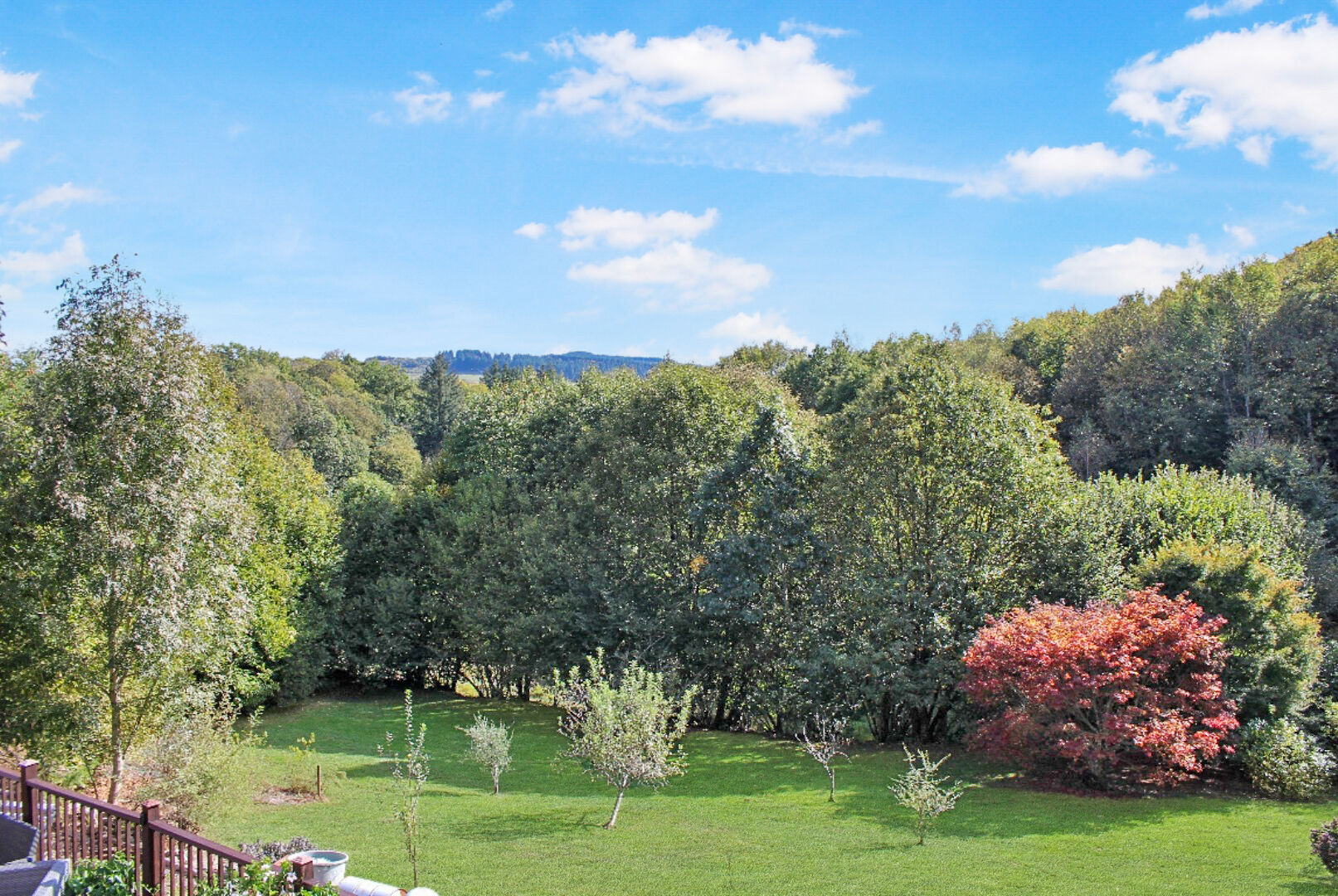 Spacious property in Haute-Vienne, Nouvelle-Aquitaine, featuring lush greenery and mature trees in the garden.