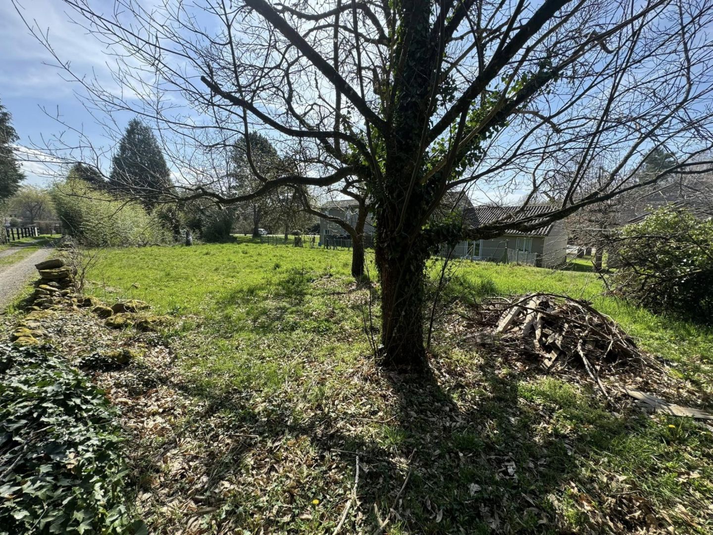 Spacious garden area surrounding a property in Haute-Vienne, Nouvelle-Aquitaine, featuring trees and natural landscaping.