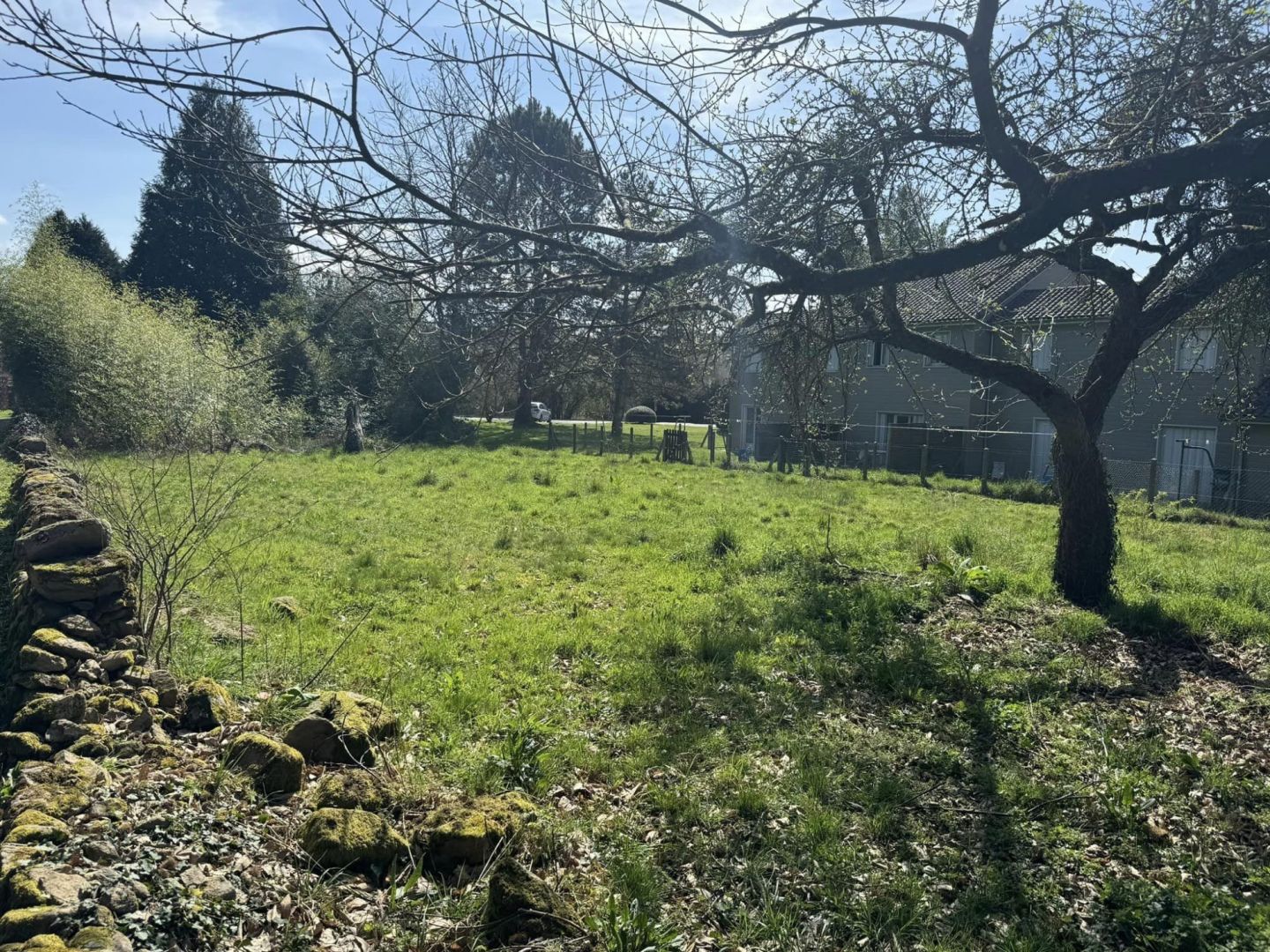 Spacious property in Haute-Vienne, Nouvelle-Aquitaine, featuring a large garden and surrounding trees.