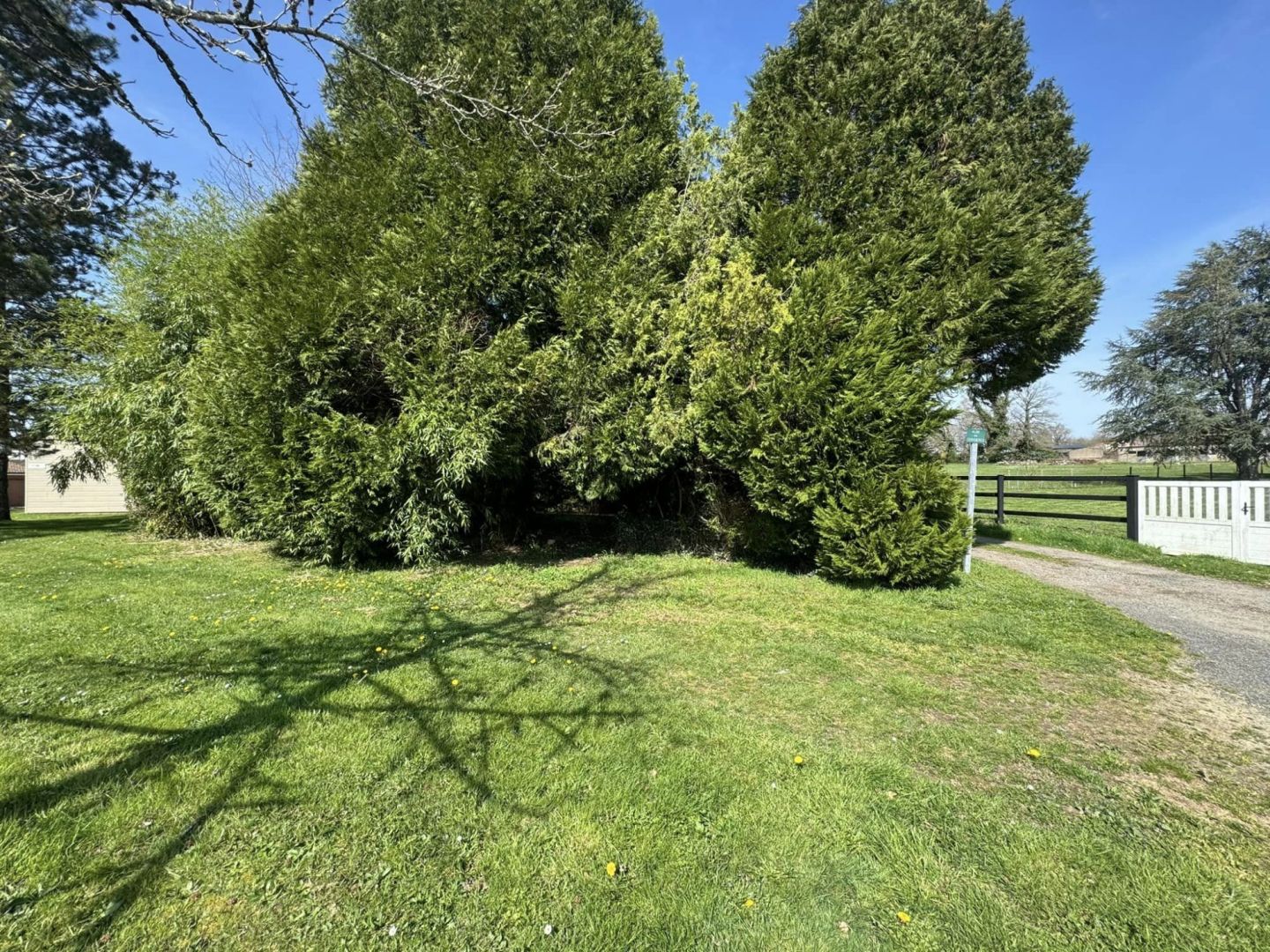 Lush garden area with mature trees and grass at the property in Haute-Vienne, Nouvelle-Aquitaine, 87250.