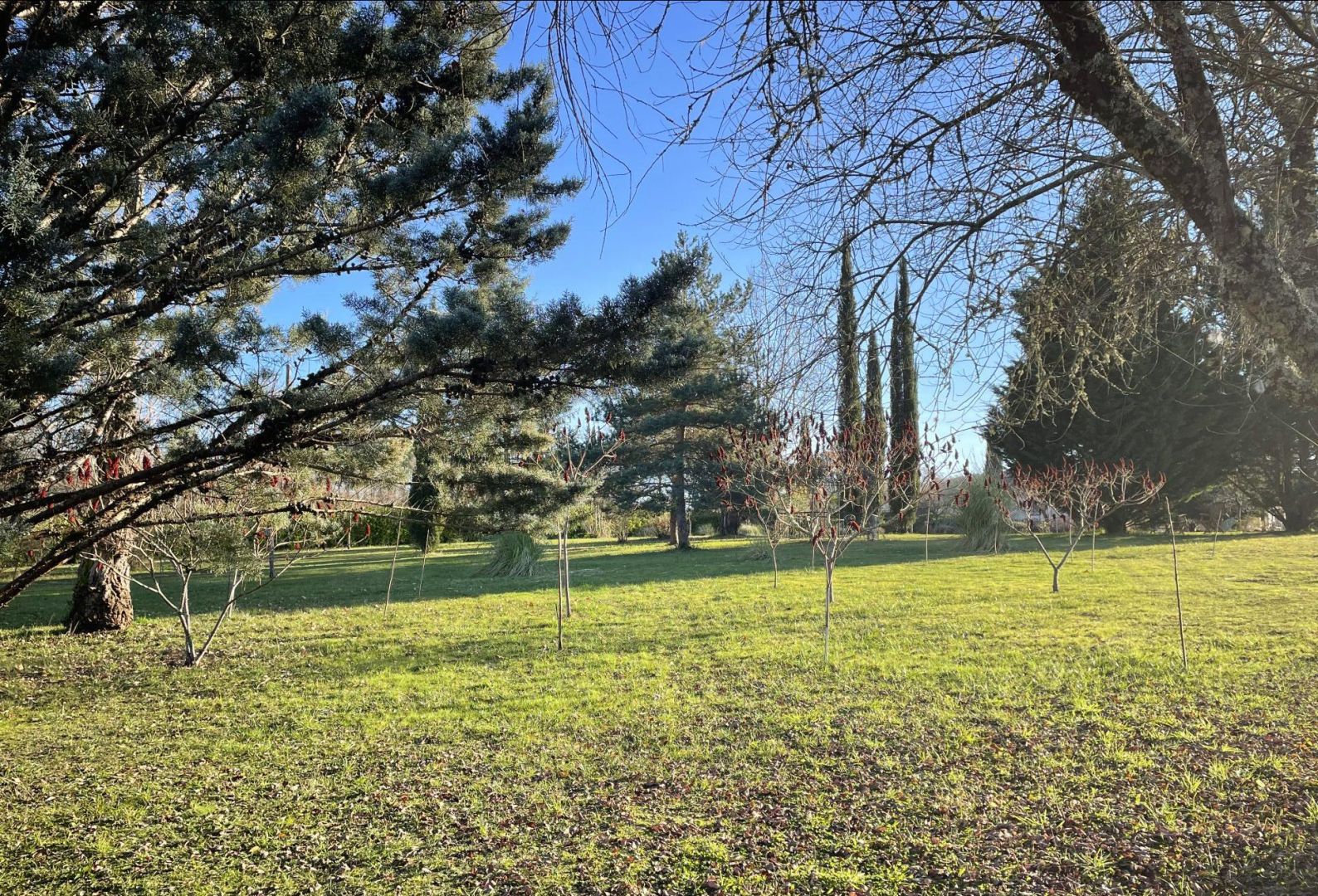 Photo LOT - LUZECH -Terrain Constructible Avec Cu image 4/5