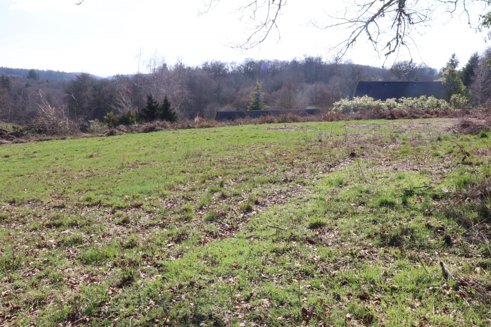 Photo CORREZE. Proche De NEUVIC. A 250m du lac de la Triouzoune, un terrain constructible  de 2688m2 image 1/6