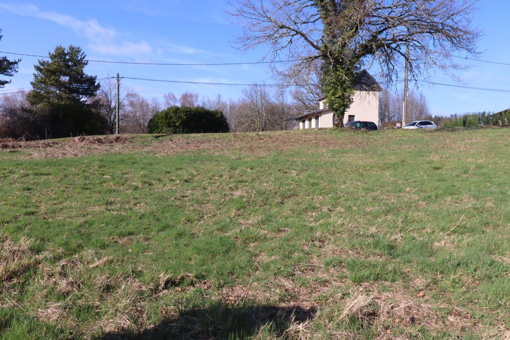 Photo CORREZE. Proche De NEUVIC. A 250m du lac de la Triouzoune, un terrain constructible  de 2688m2 image 5/6