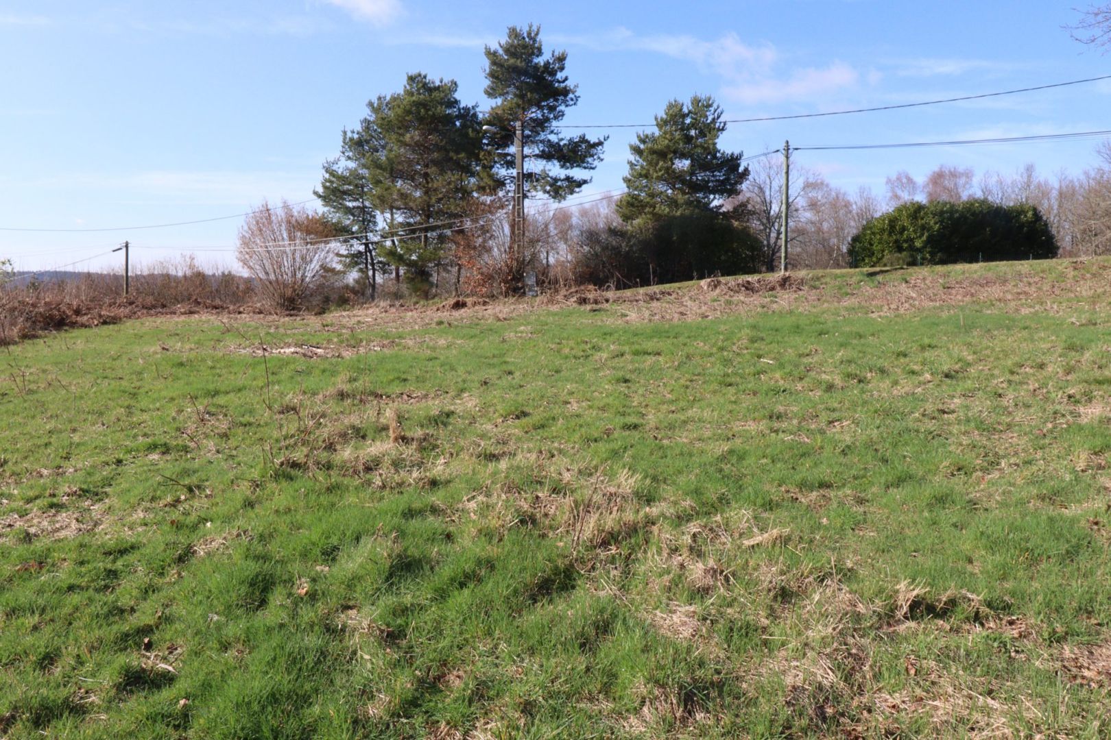 Photo CORREZE. Proche De NEUVIC. A 250m du lac de la Triouzoune, un terrain constructible  de 2688m2 image 6/6