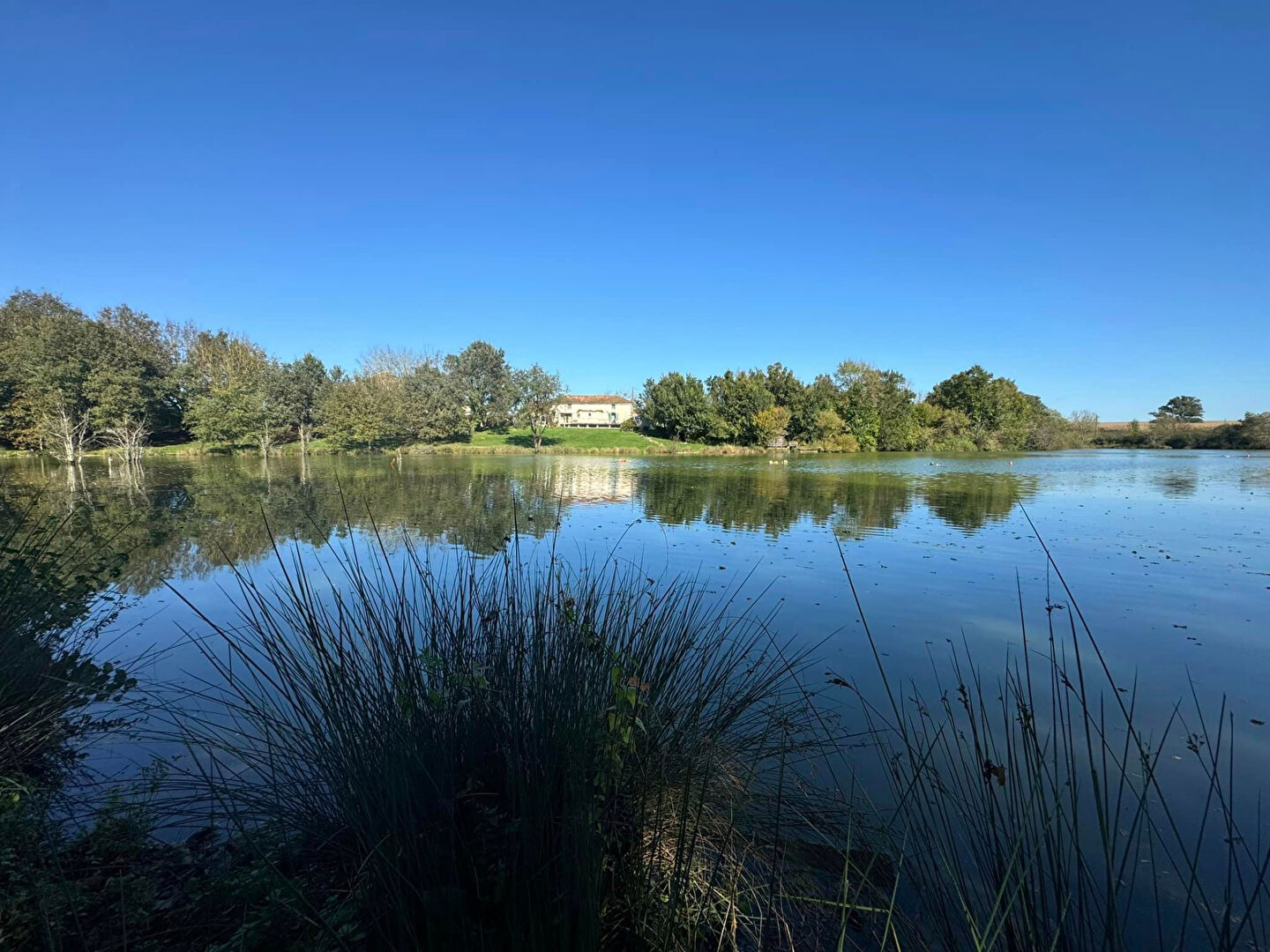 VIENNE - Proche L'Isle Jourdain - Propriété sur 8,4 hectares de terrain boisé avec 2 maisons et un étang d'environ 5 hectares.
