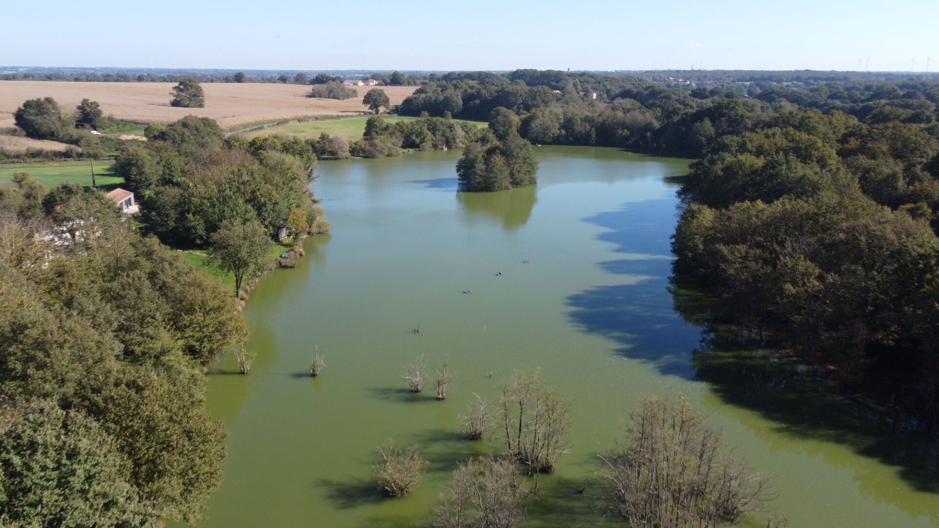 Photo VIENNE - Proche L'Isle Jourdain - Propriété sur 8,4 hectares de terrain boisé avec 2 maisons et un étang d'environ 5 hectares. image 6/6
