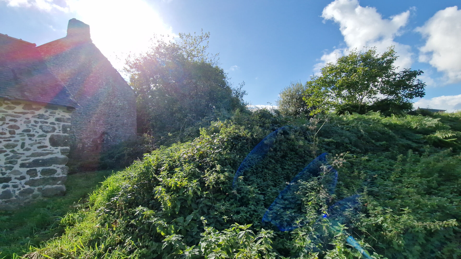 House in Le Mene - Image 4