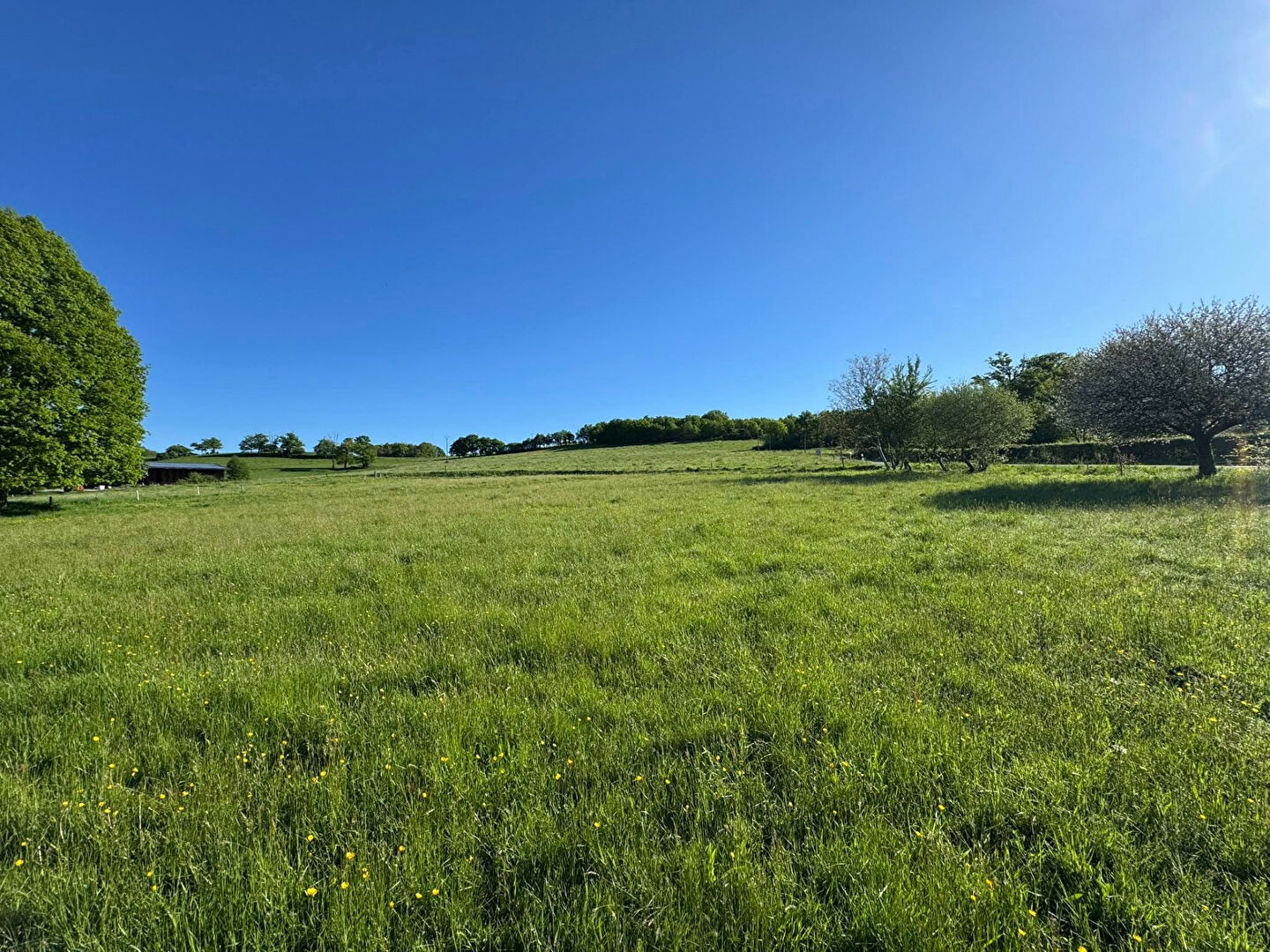 Photo HAUTE VIENNE- Superbe ferme en pierre avec grange et 6000m² de terrain attenant image 3/6