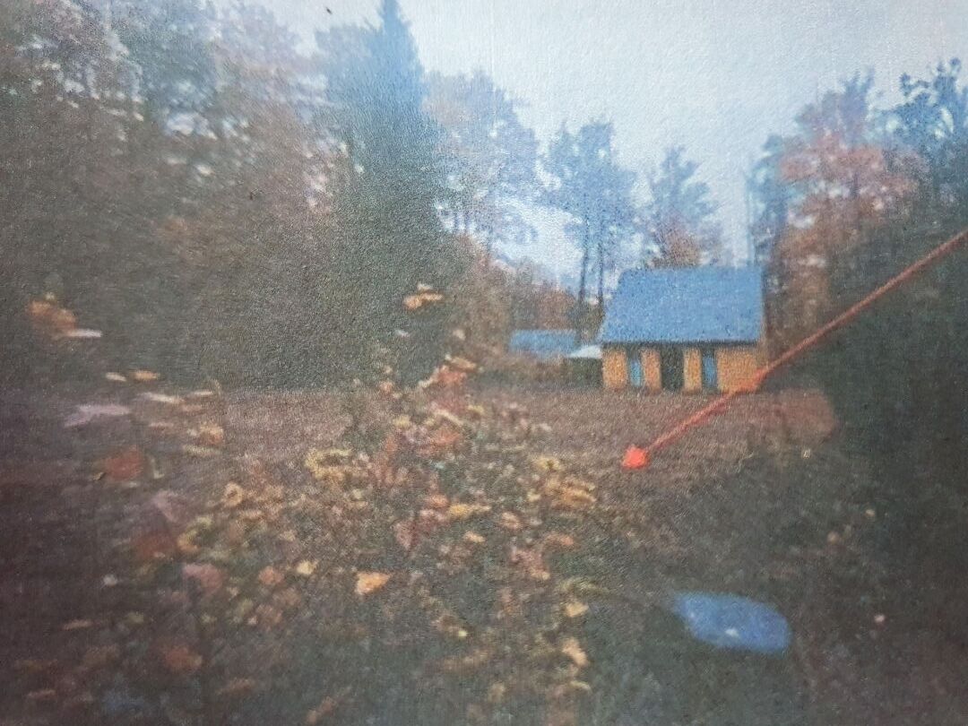 Photo CORREZE Près de NEUVIC.  A 250m du lac de la Triouzoune, un terrain constructible viabilisé de 2573m2 image 6/6