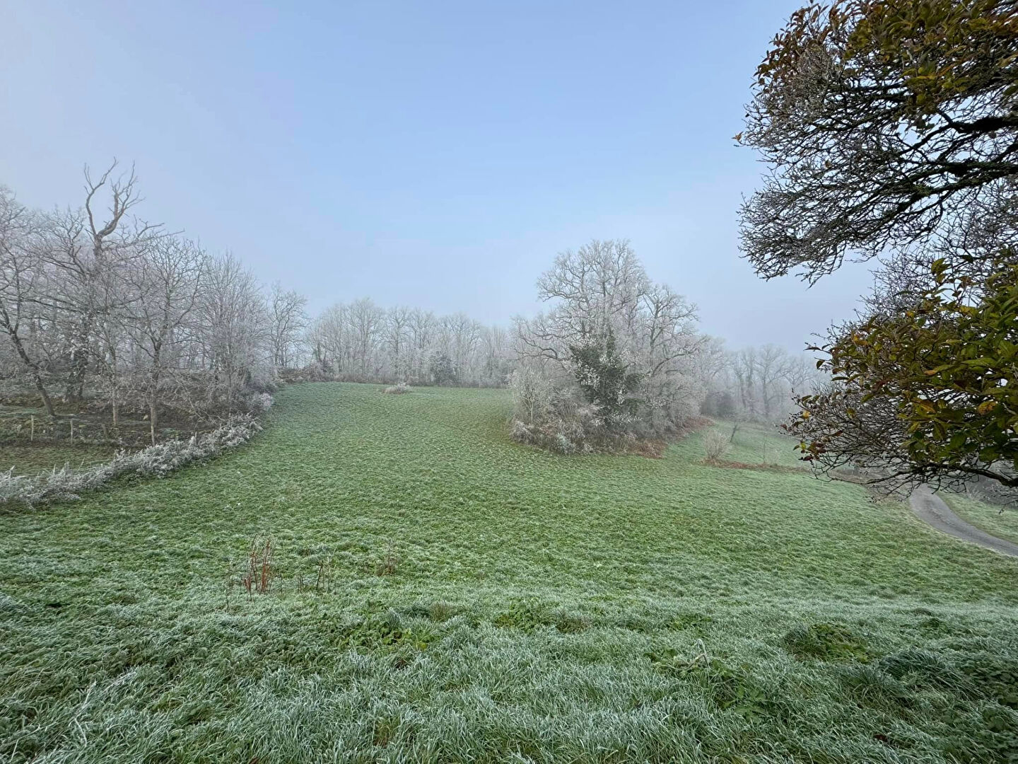 Photo HAUTE VIENNE - BESSINES SUR GARTEMPE - Petite maison en pierre à rénover entièrement avec grande grange et 7719 m² de terrain attenant. image 6/6
